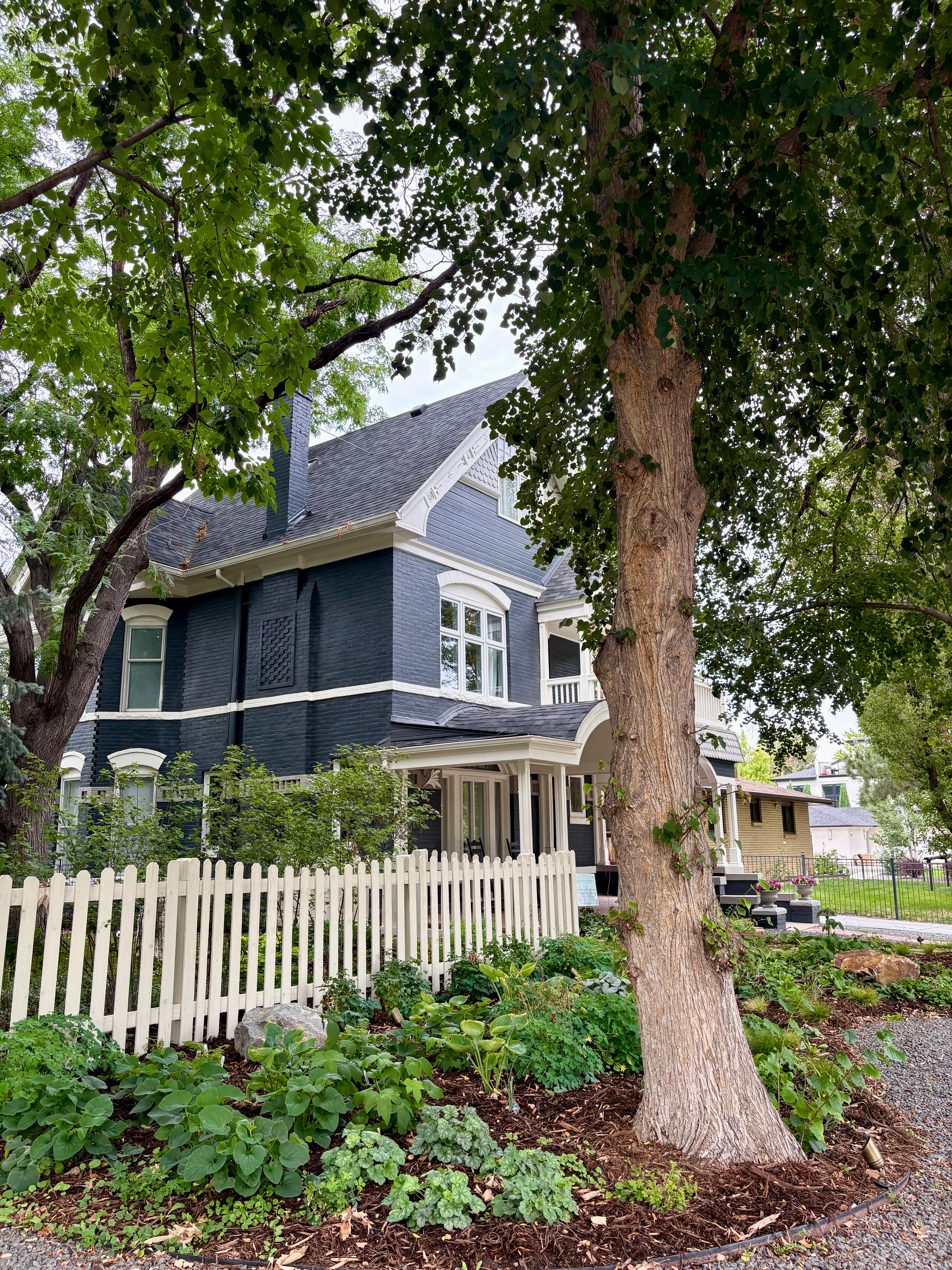 Large tree with green leaves in front of a dark blue house with white trim, white picket fence, and garden.