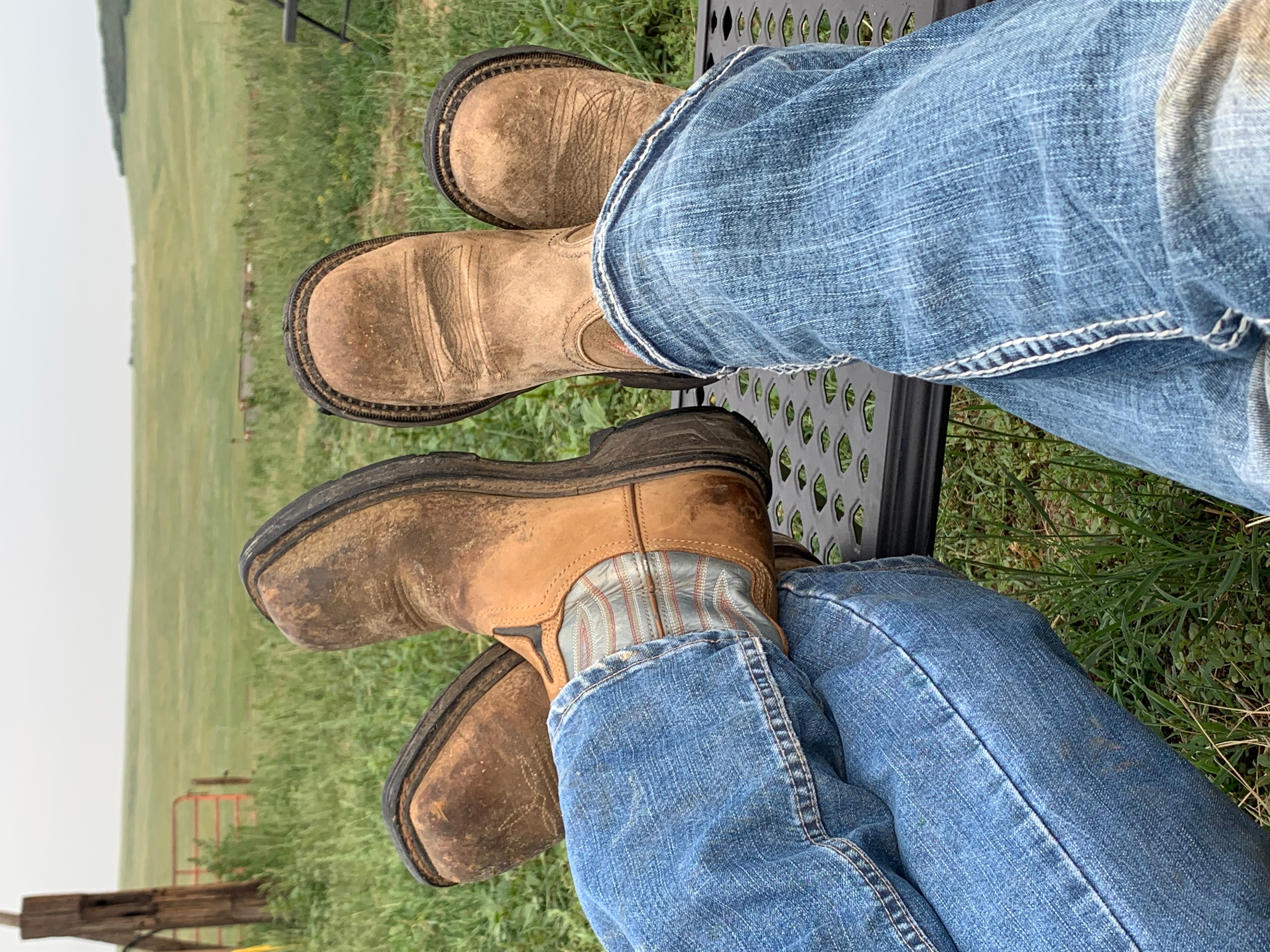 Person's legs and feet resting on a metal bench, wearing jeans and brown boots, outdoors with grass and trees.