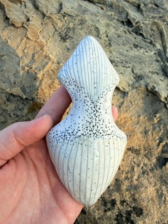 Person holding a white, textured seashell with black speckles against a rocky background.