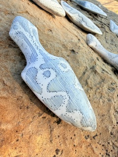White and blue patterned seashell on sandy surface, with other shells in background.