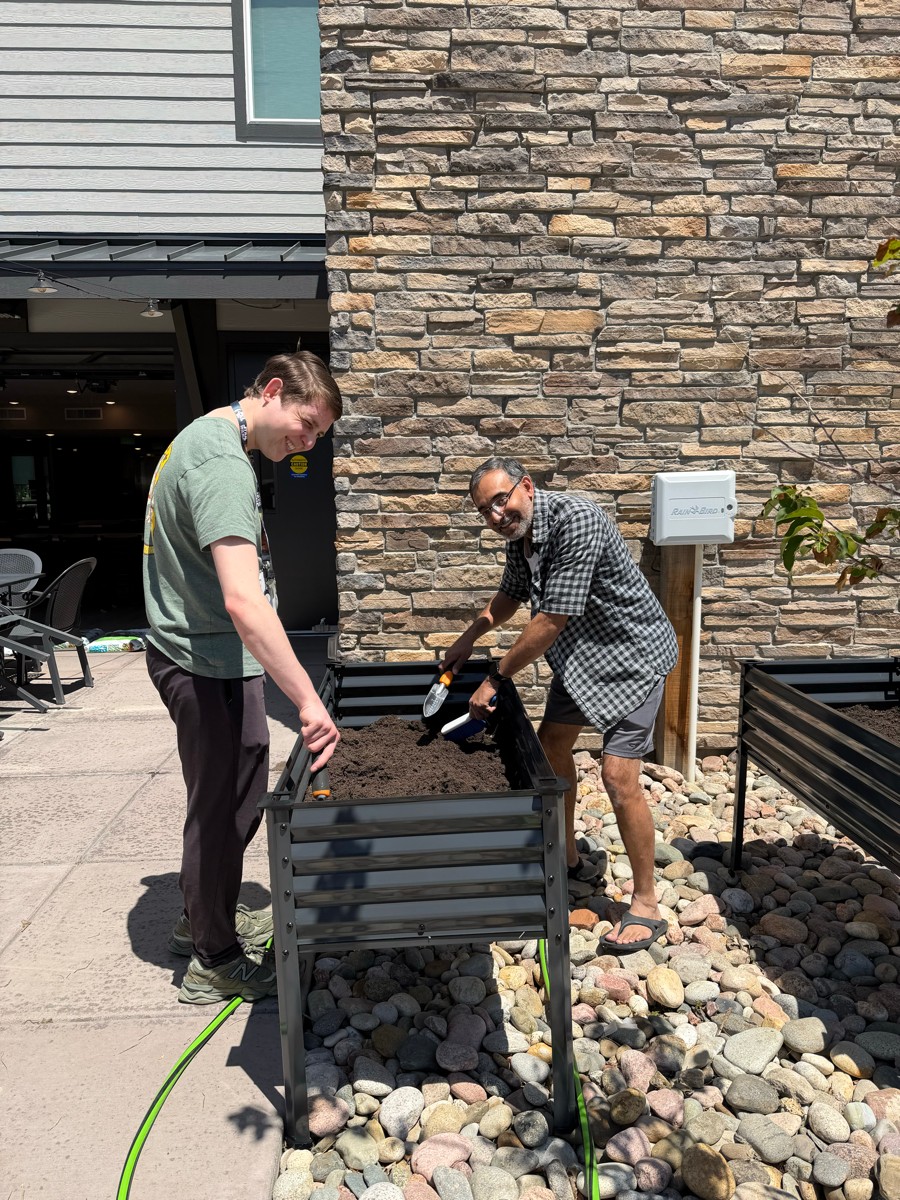 Two men planting a small tree in a black container outside a building with a stone wall, on a sunny day.