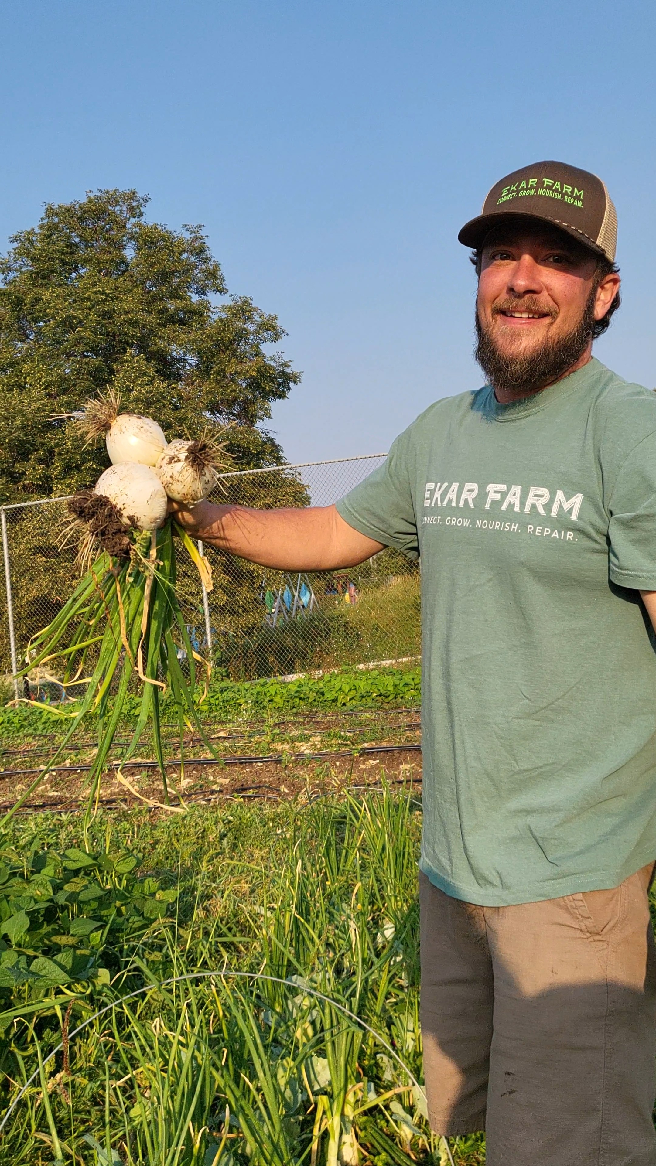 Man holding freshly harvested onions in a garden with trees and blue sky behind him.