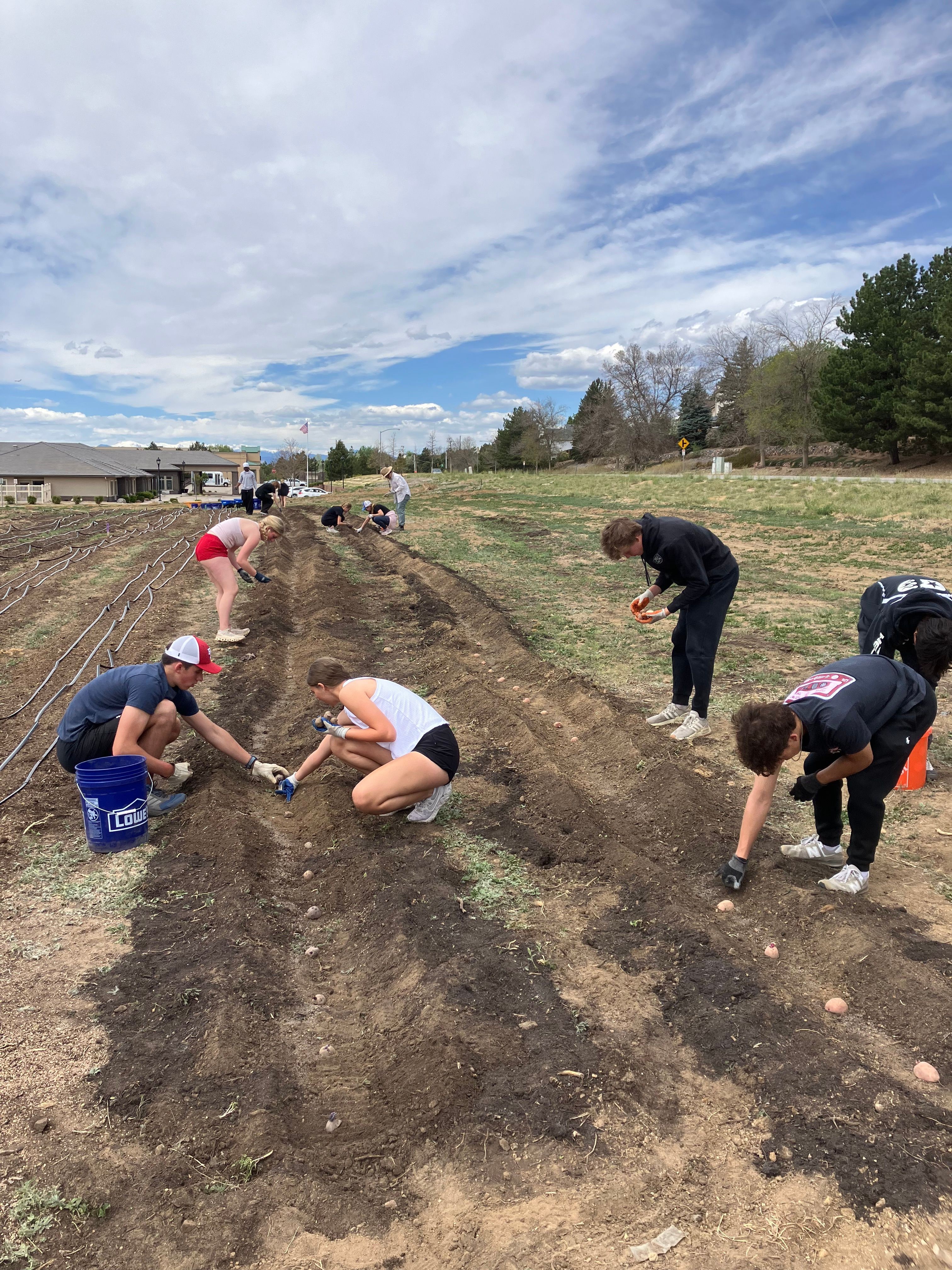 People working on a garden or field, digging and planting, outdoors under a partly cloudy sky.