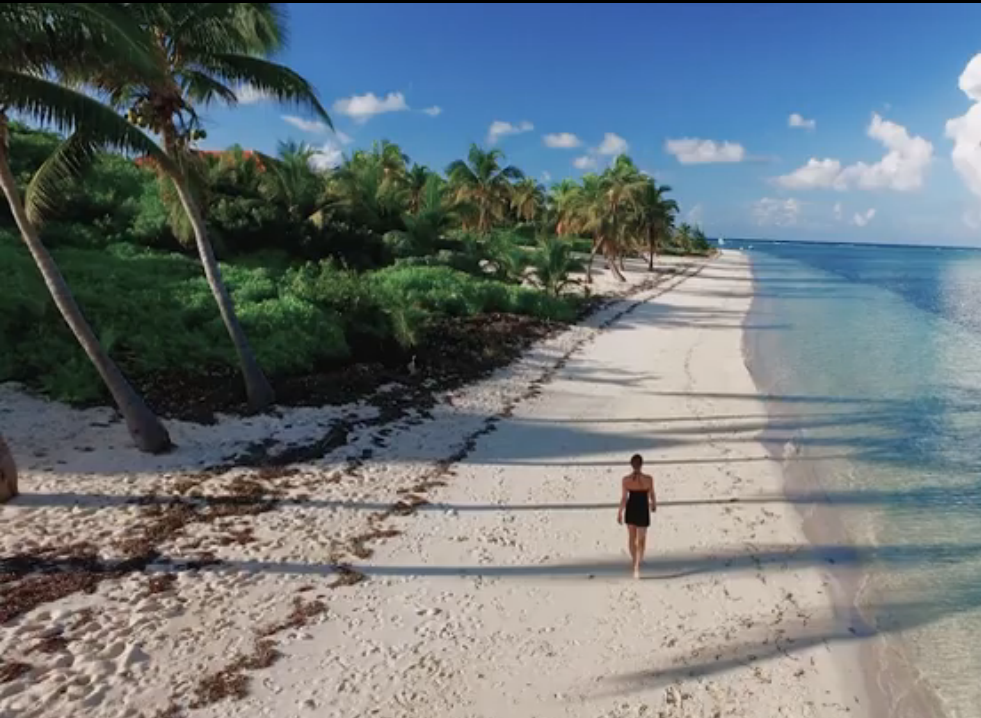 Person walking on a sandy beach with palm trees and clear blue water, under a partly cloudy sky.