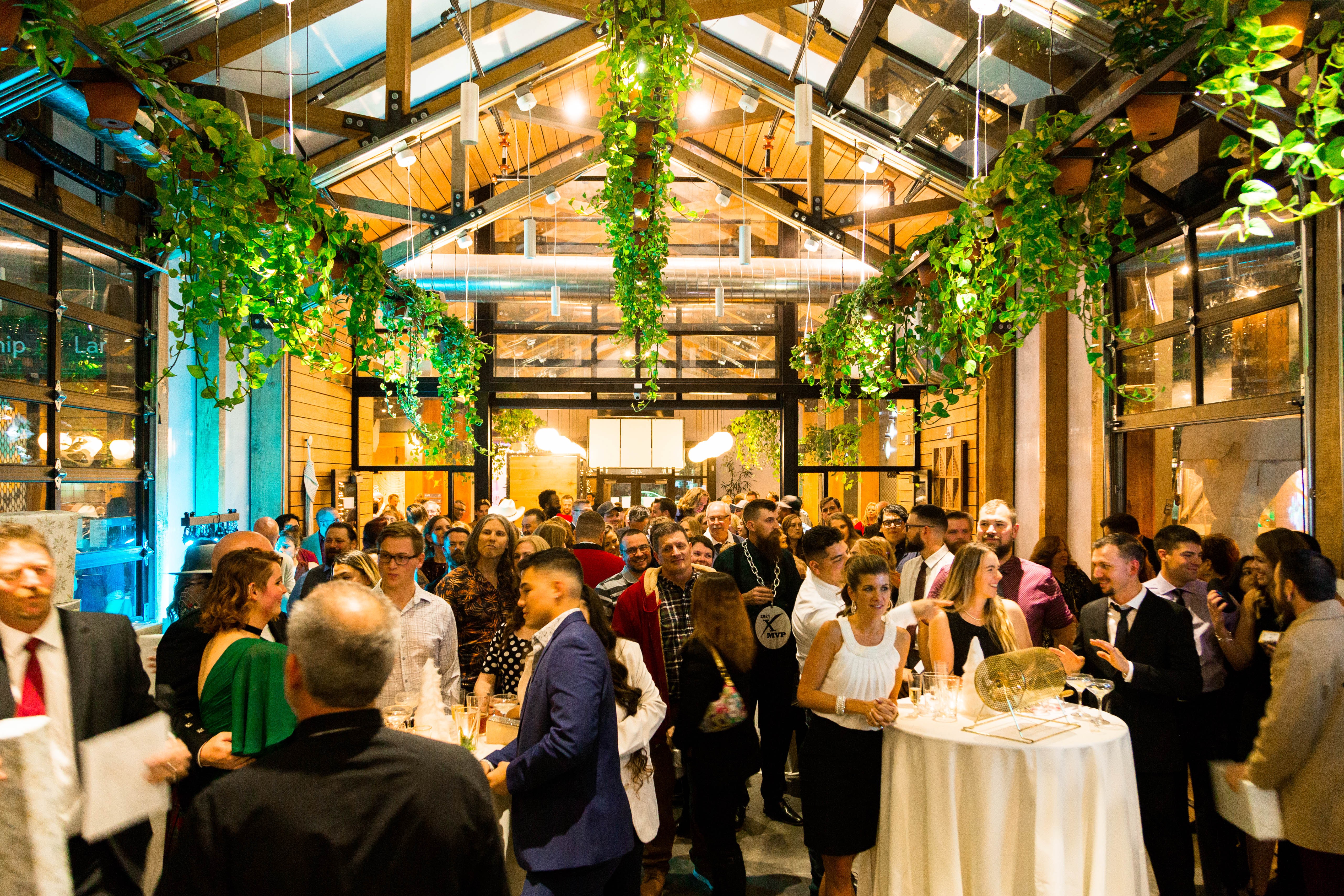 Indoor event with people socializing, decorated with hanging green plants and large windows, warm lighting, and a high ceiling.