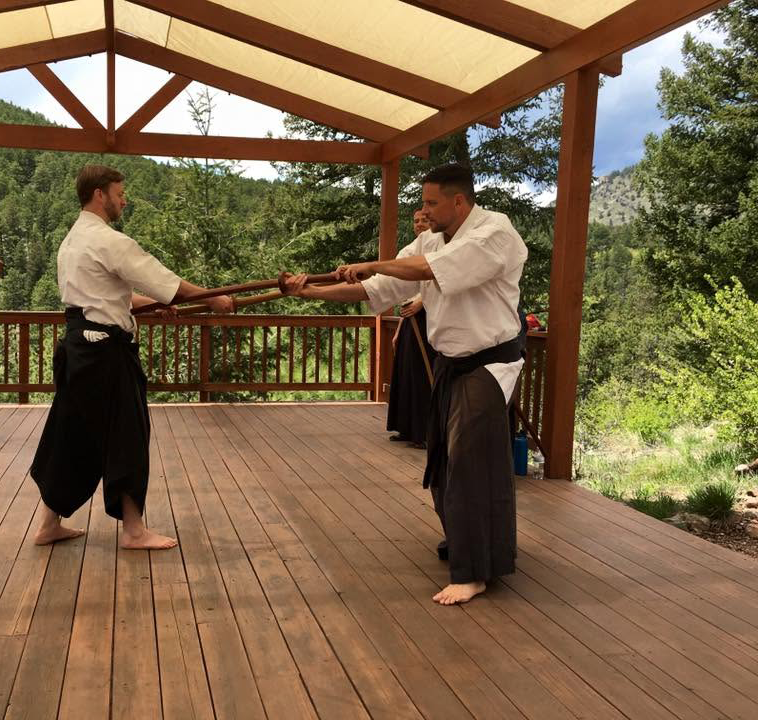 Two people practicing a martial arts technique on a wooden deck with trees in the background.