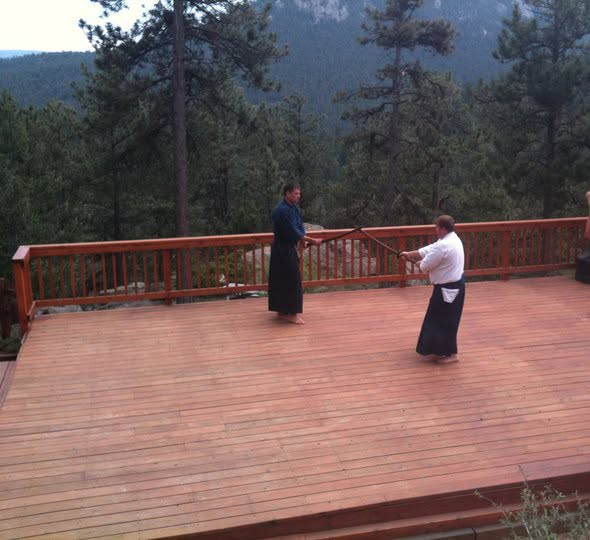 Two people practicing martial arts on a wooden deck with trees and mountains in the background.