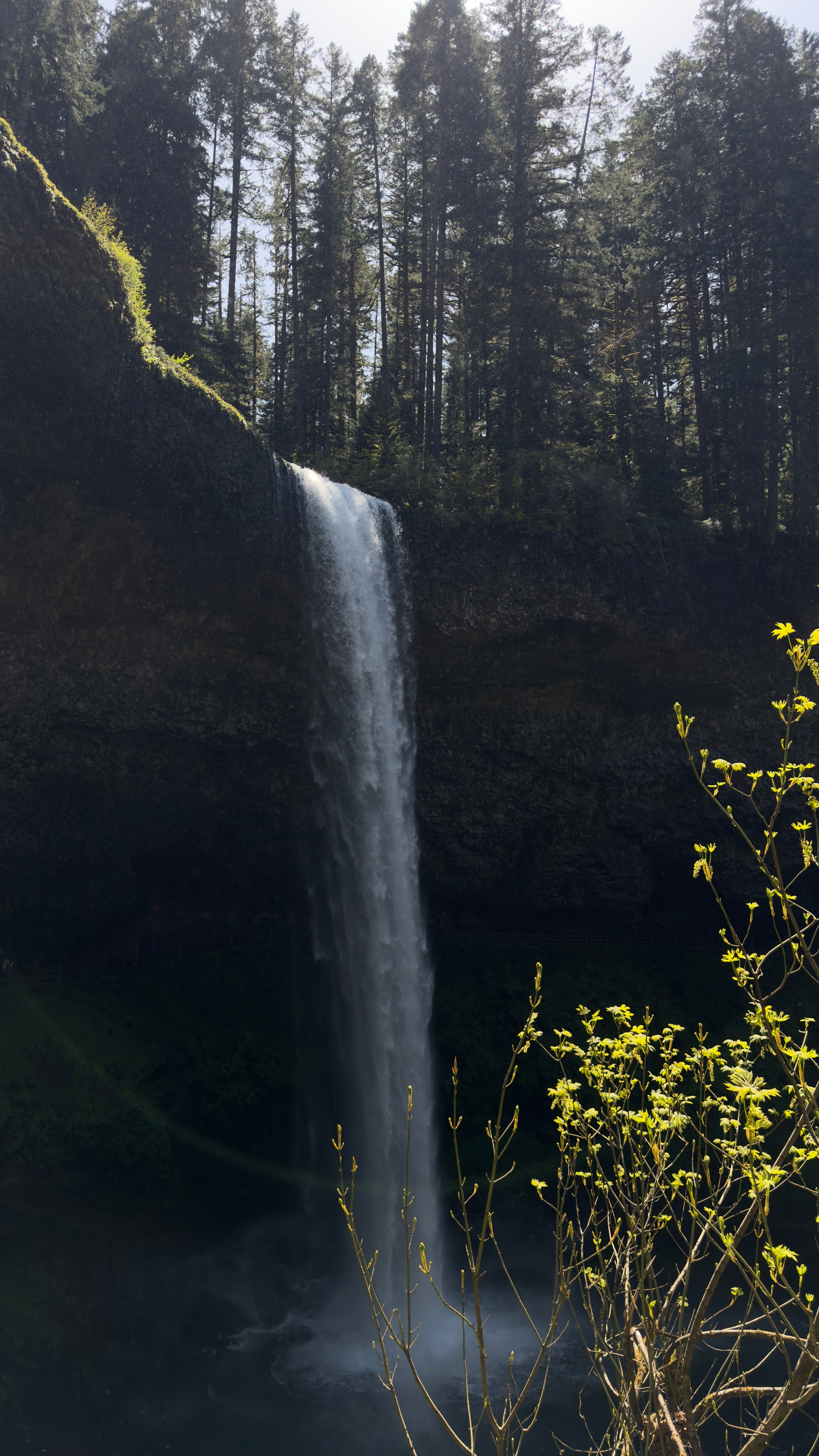 Waterfall flowing over a cliff with trees in the background and sunlight filtering through the forest.