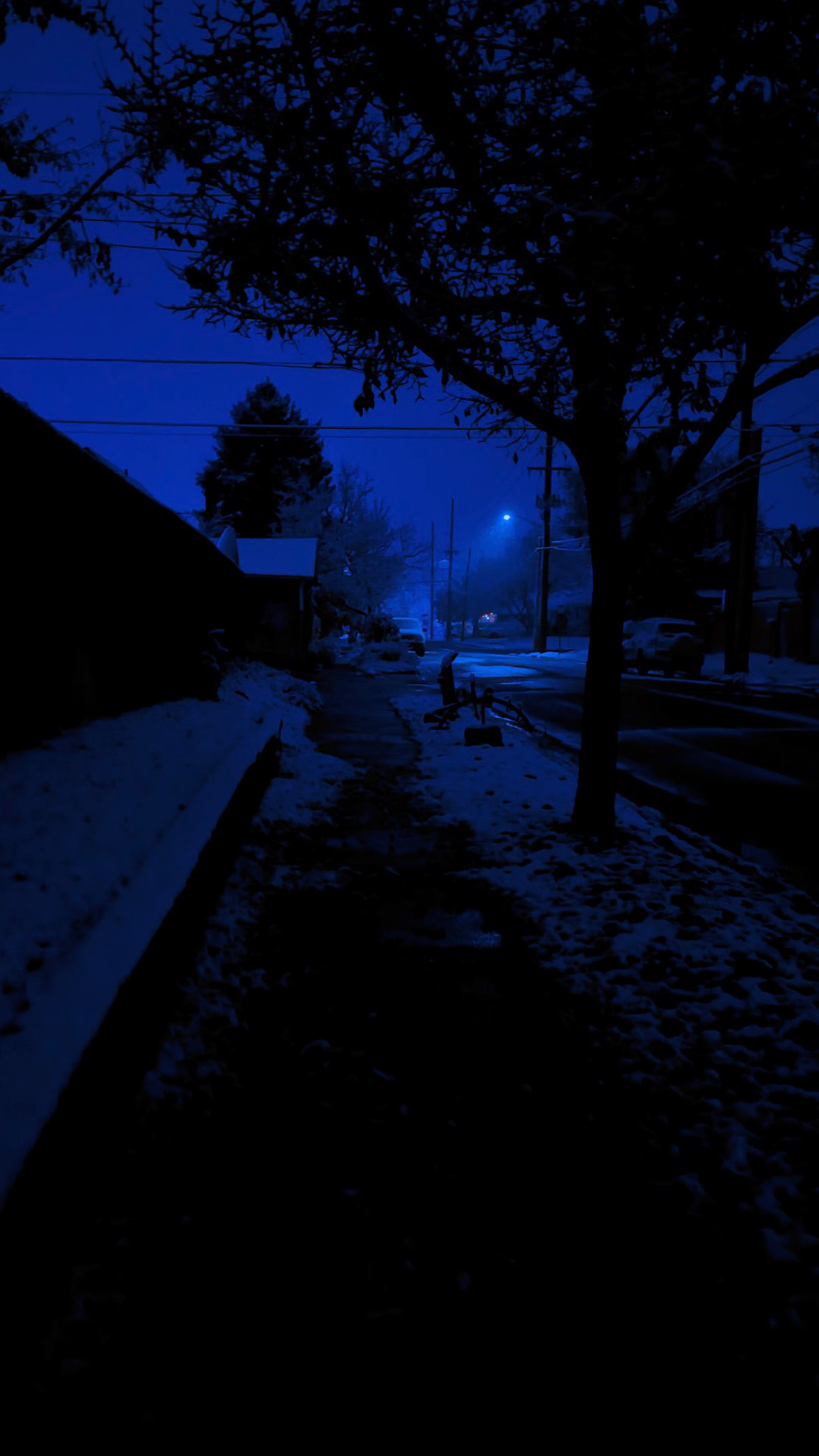 Night scene of a street with trees, streetlights, and snow, illuminated by blue-tinted lighting.