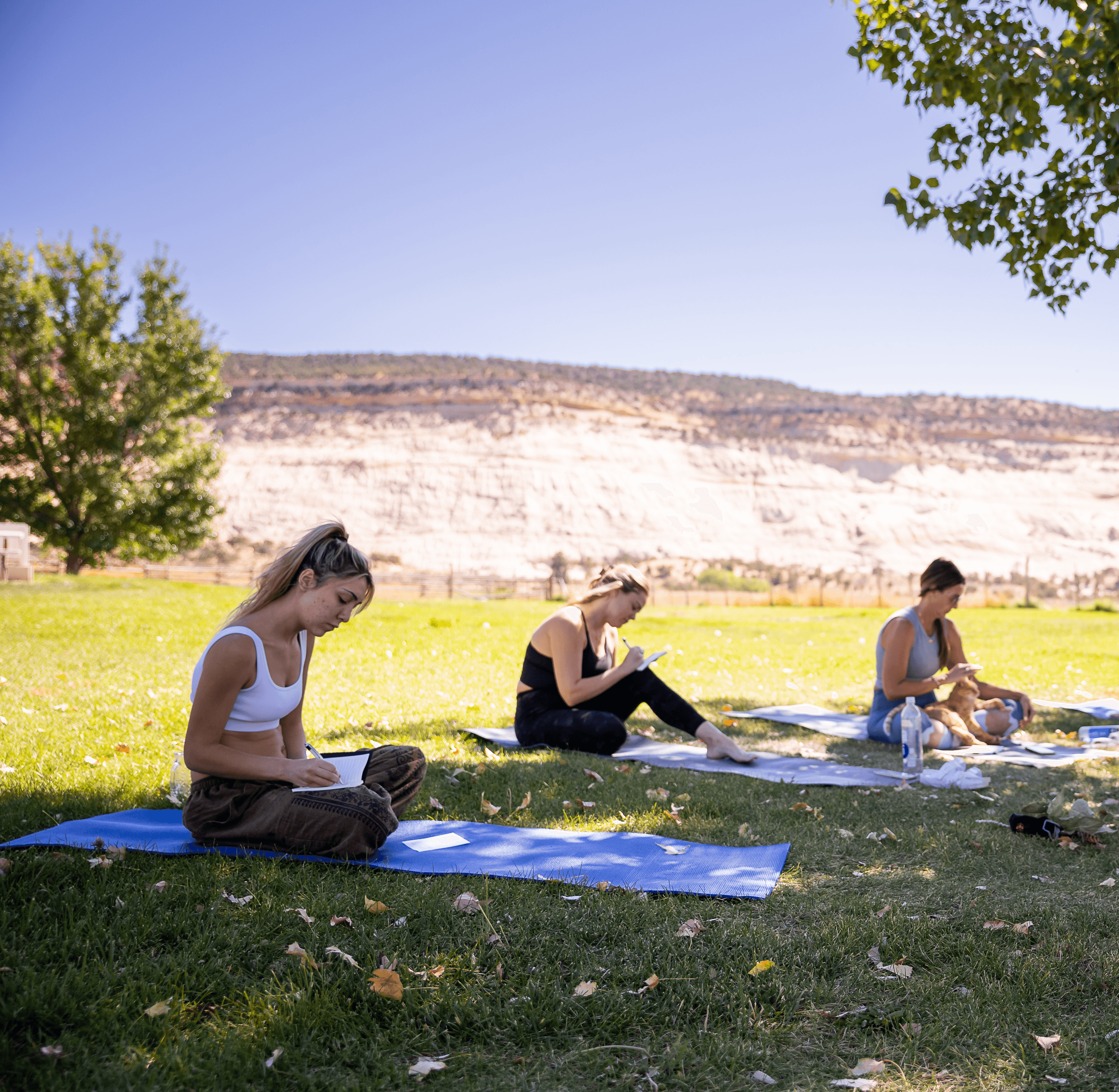 Three women sit on mats outdoors, practicing yoga on grass with trees and a cliff in the background.