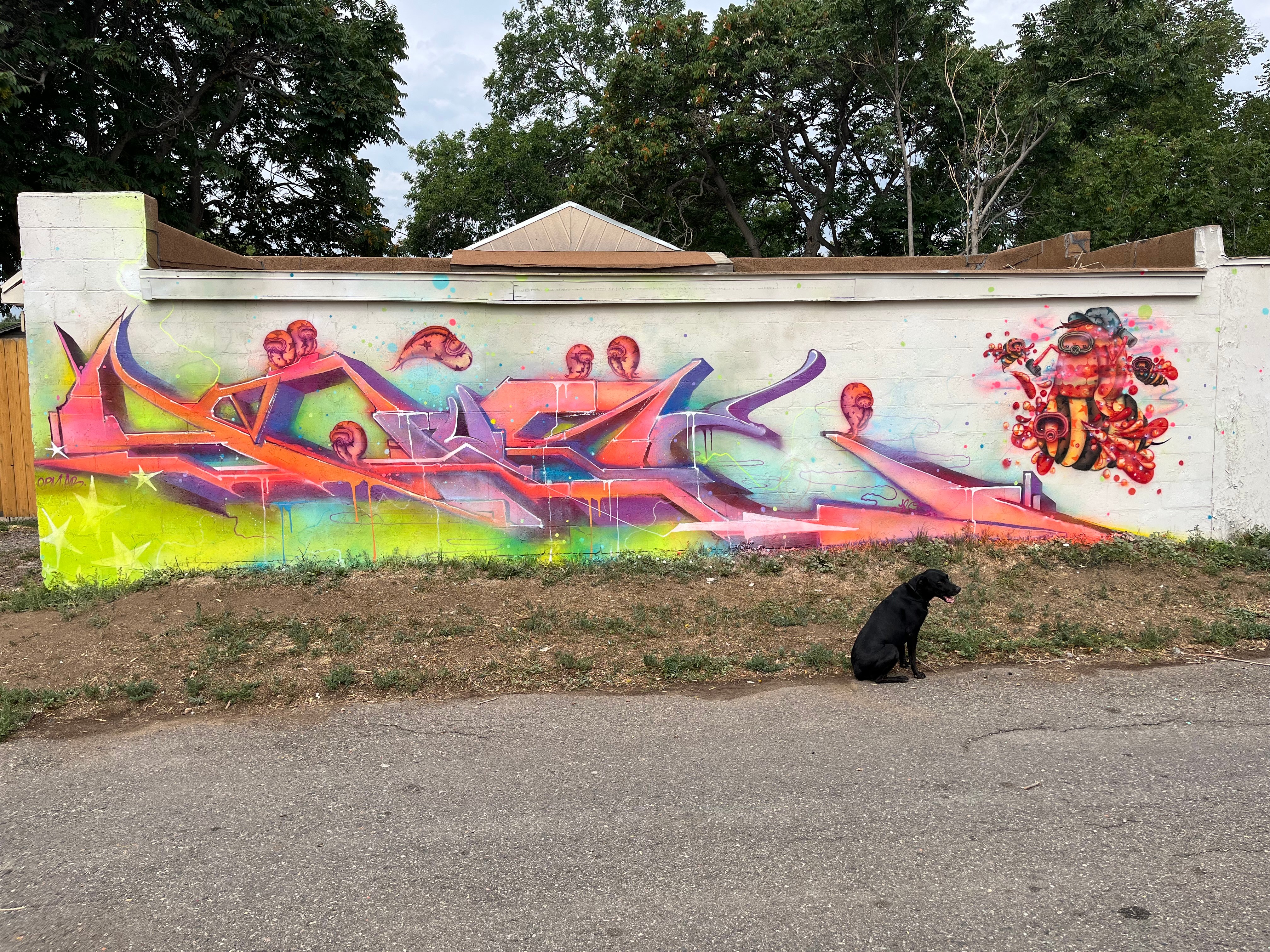 Colorful graffiti art on a wall with a black cat sitting on the ground in front, trees in the background.