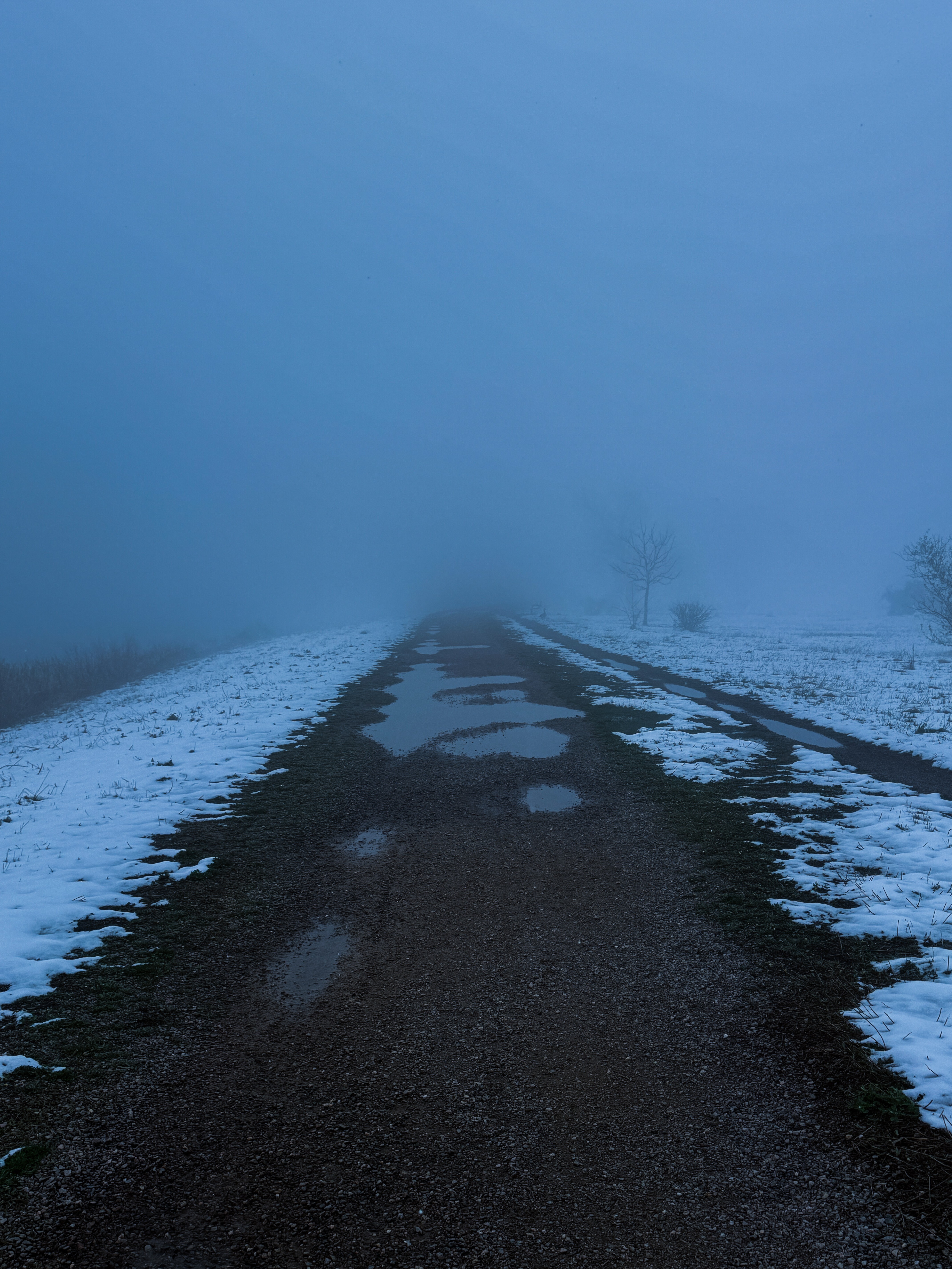 A foggy winter landscape with a dirt road, patches of snow, and trees in the distance, obscured by fog.
