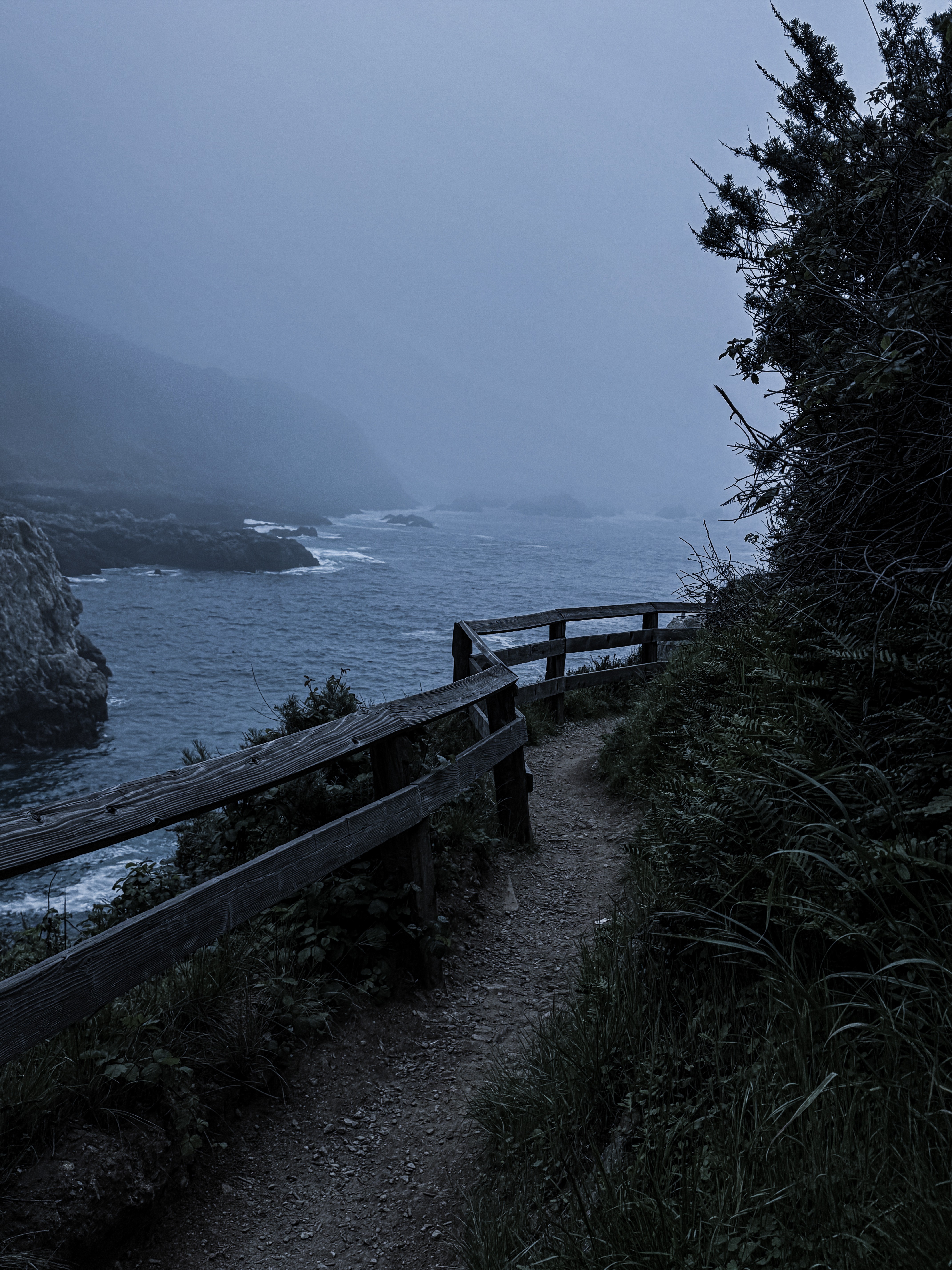 Narrow path along a body of water with a wooden railing, surrounded by trees and foggy atmosphere.