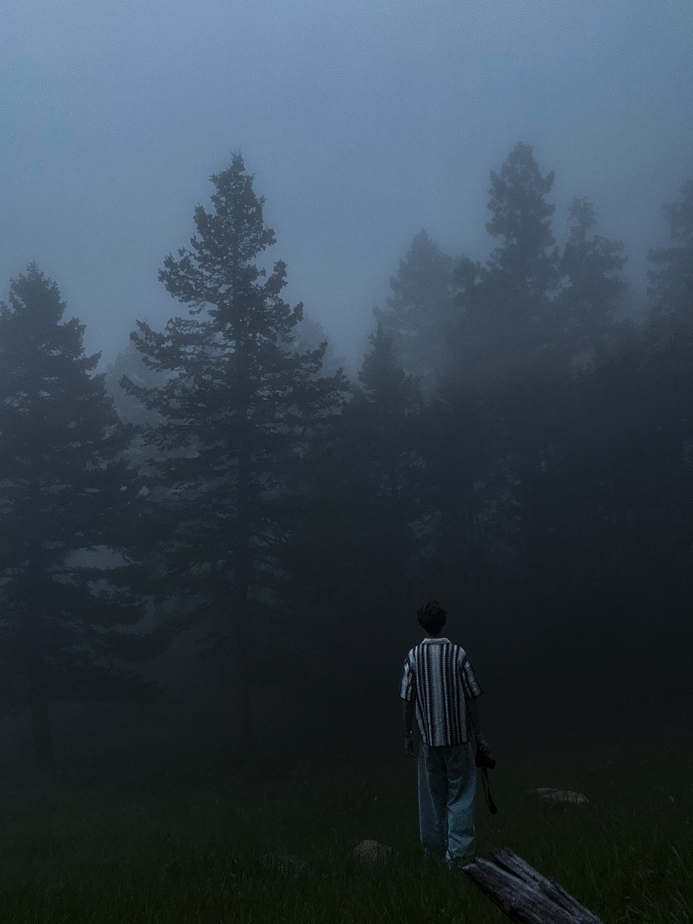 Person standing on grass holding an umbrella, foggy forest with tall trees in background, overcast sky, moody atmosphere.