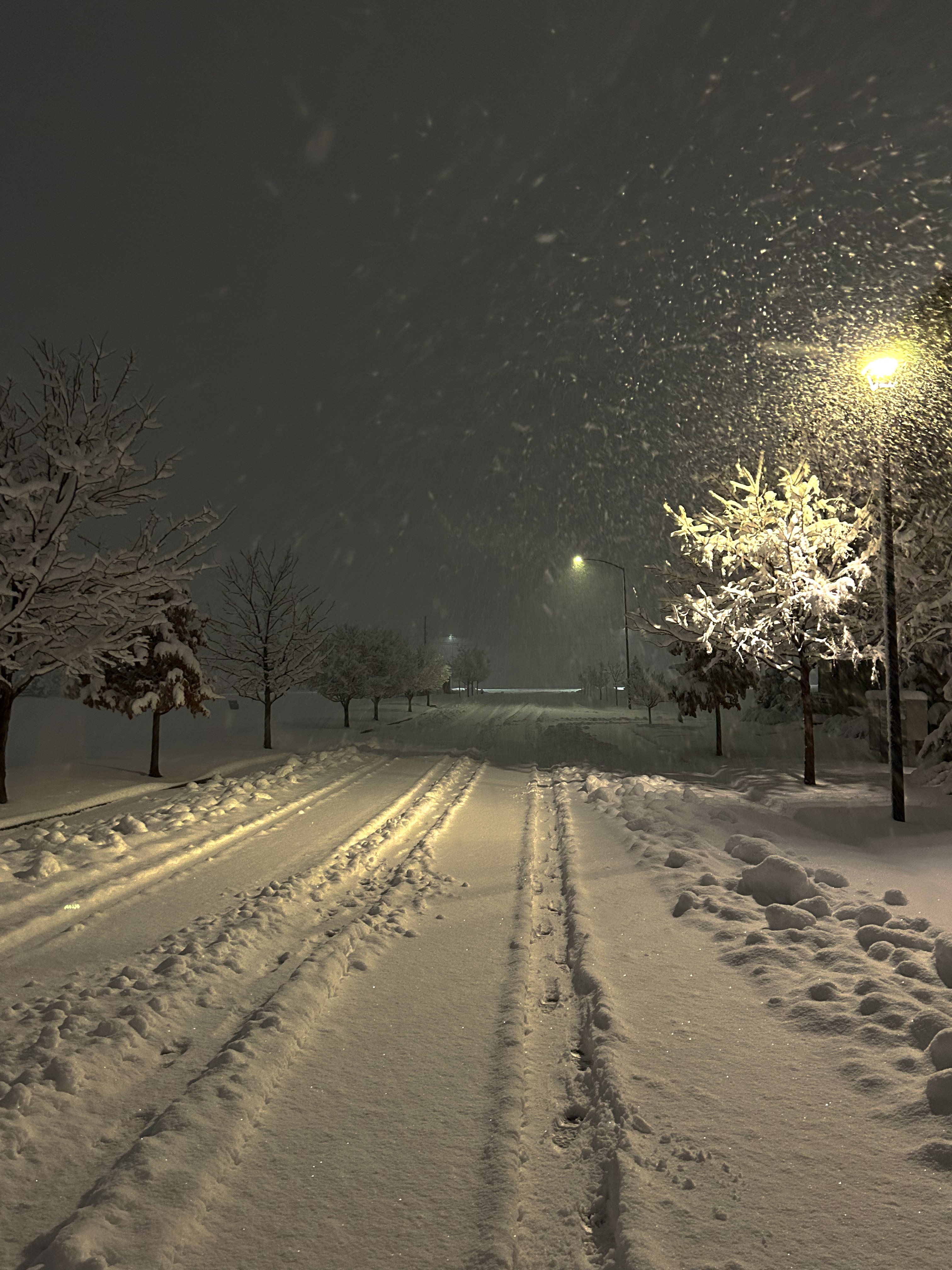 Snow-covered street at night with trees, streetlights, and falling snow, illuminated by streetlights.