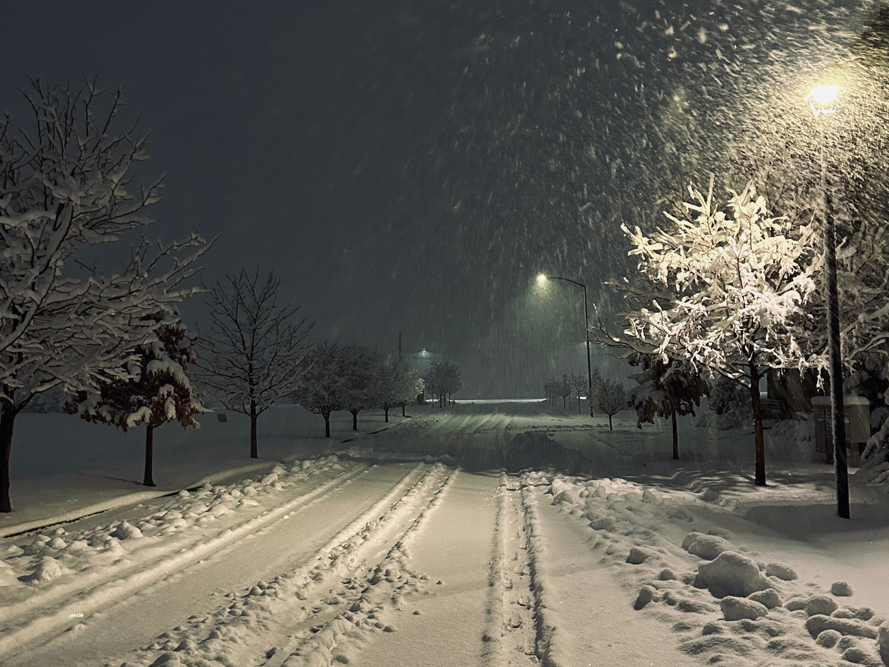 Snow-covered street at night with trees, streetlights, and falling snow, illuminated by streetlights and a bright moon.
