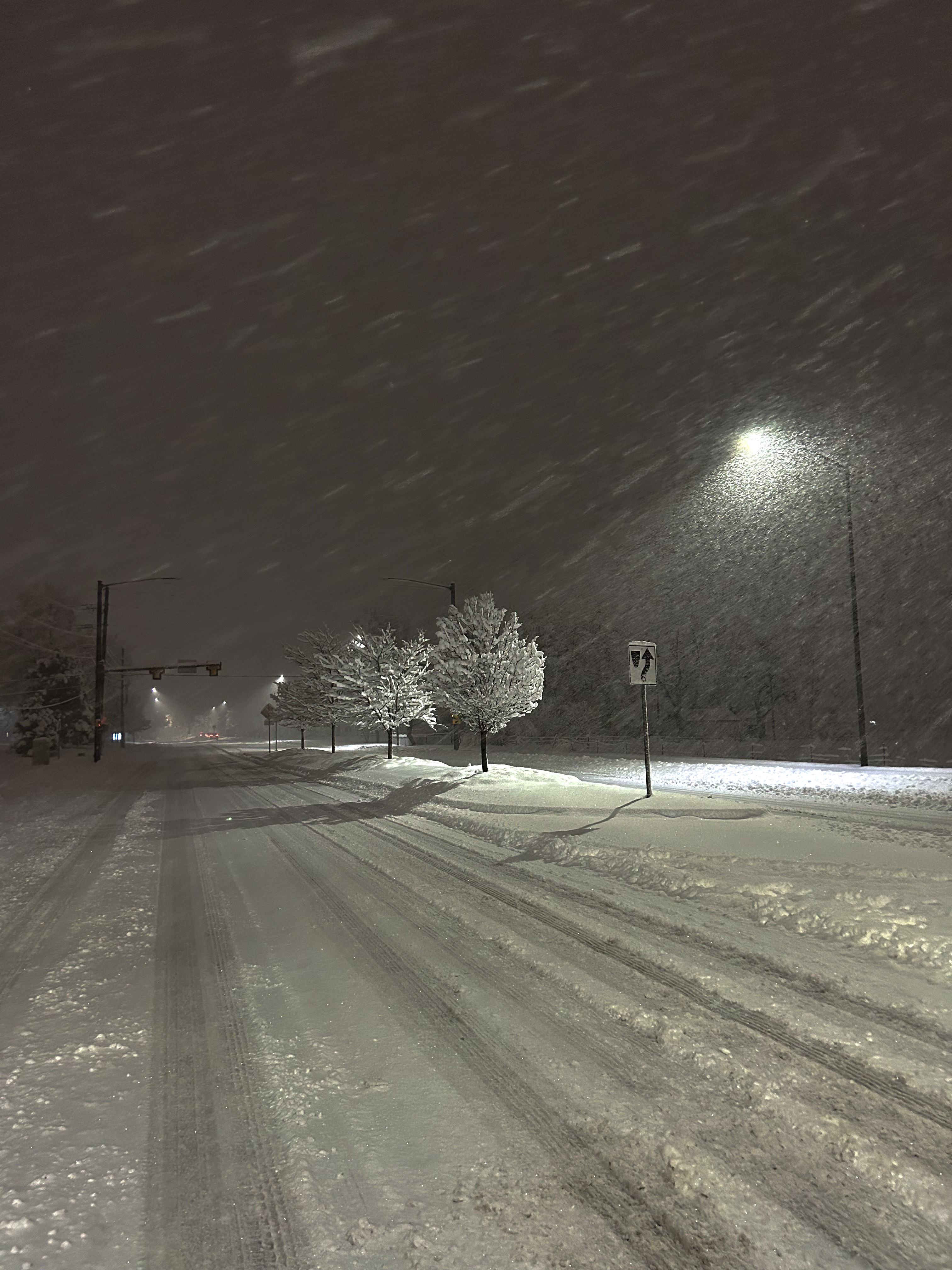 Snow-covered road at night with trees, streetlight, and falling snow, illuminated by a bright moon or streetlight.
